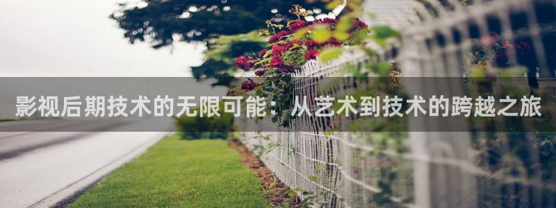 极速电影院在线观看电影：影视后期技术的无限可能：从艺术到技术的跨越之旅