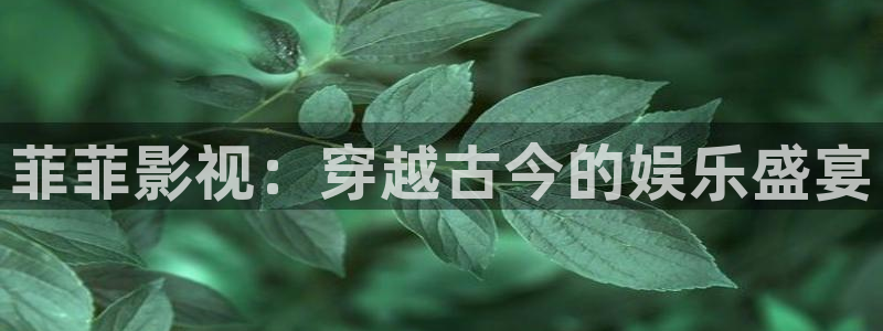 极速酷客电影：菲菲影视：穿越古今的娱乐盛宴