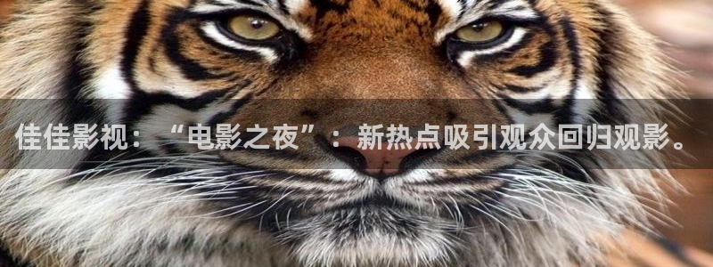 极速影院最新：佳佳影视：“电影之夜”：新热点吸引观众回归观影。