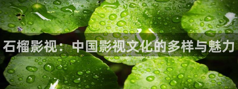 极速酷客 电影：石榴影视：中国影视文化的多样与魅力