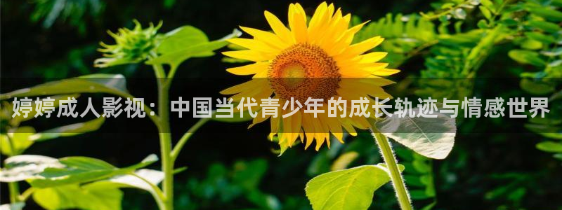 极速影视下载：婷婷成人影视：中国当代青少年的成长轨迹与情感世界
