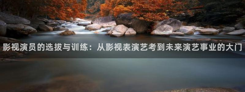 极速影院在线看：影视演员的选拔与训练：从影视表演艺考到未来演艺事业的大门